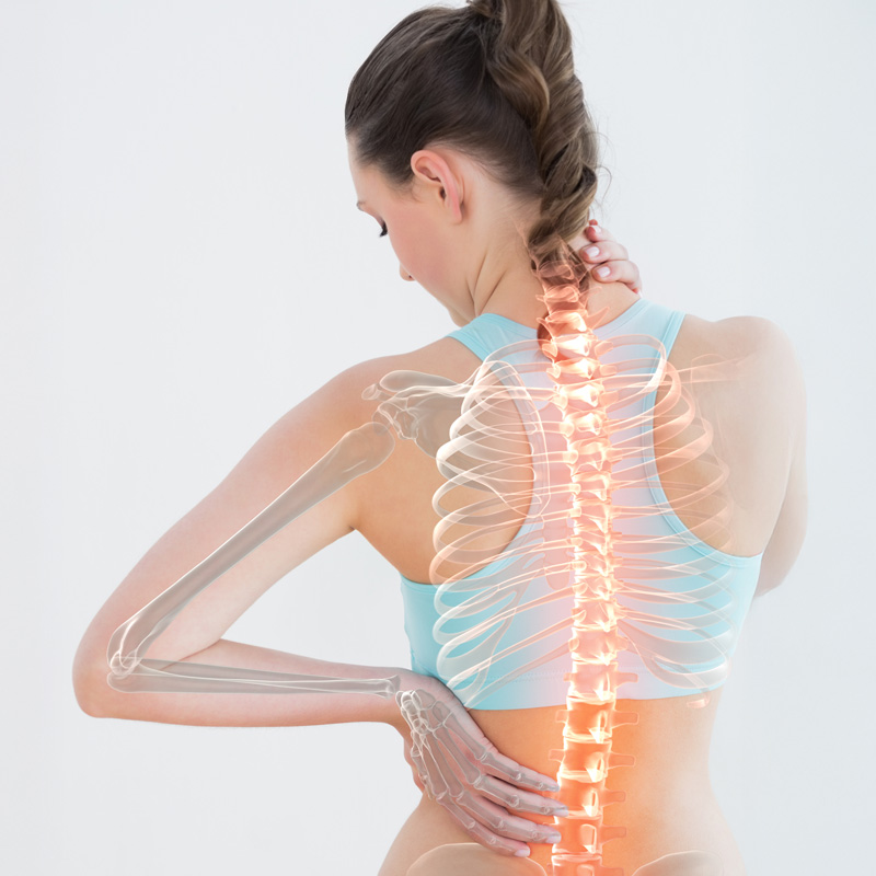 schenectady chiropractor